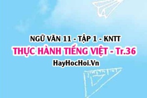 Soạn bài Thực hành tiếng Việt trang 36 Ngữ văn lớp 11 Kết nối tri thức tập 1